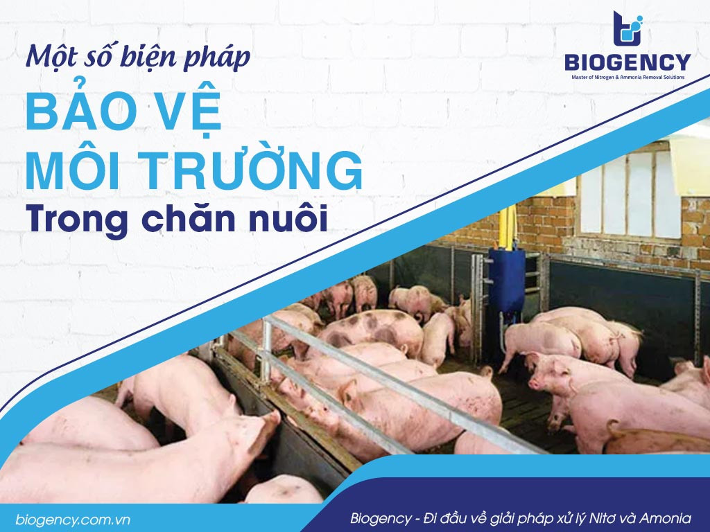 Các biện pháp bảo vệ môi trường trong chăn nuôi bao gồm xử lý chất thải và vệ sinh chuồng trại