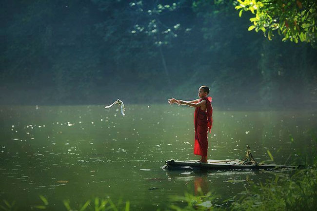 Một người phụ nữ đang ngồi thiền giữa thiên nhiên tươi đẹp, tượng trưng cho sự bình yên trong tâm hồn