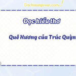 Bãi mía nương dâu, vẻ đẹp bình dị của làng quê Việt Nam