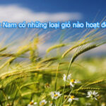 Bản đồ vị trí địa lý Việt Nam trên thế giới.