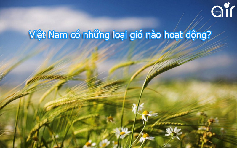 Bản đồ vị trí địa lý Việt Nam trên thế giới.
