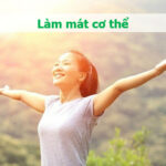 Bí đao tươi xanh, mọng nước, một loại quả quen thuộc và giàu dinh dưỡng trong ẩm thực Việt Nam.