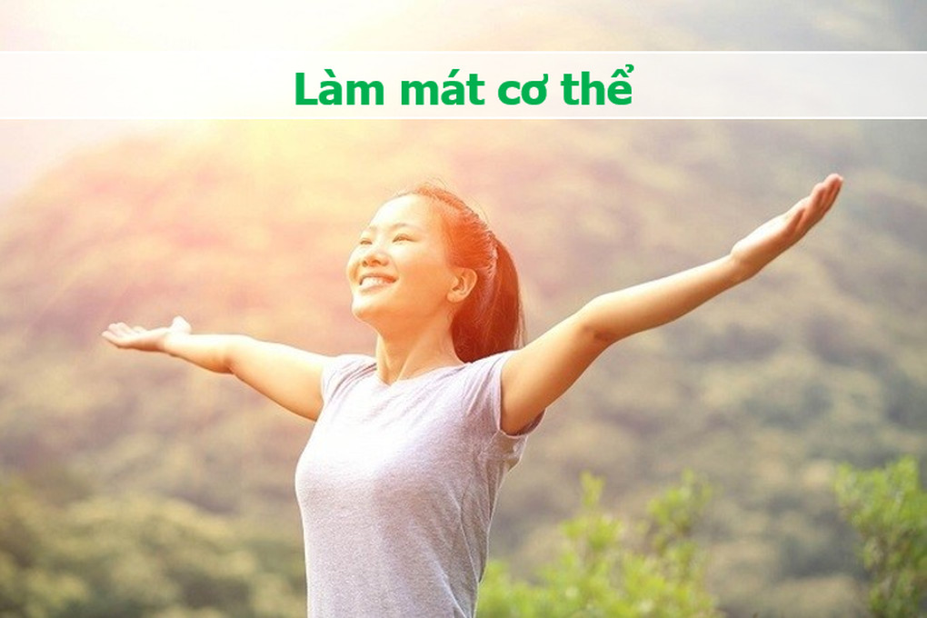 Bí đao tươi xanh, mọng nước, một loại quả quen thuộc và giàu dinh dưỡng trong ẩm thực Việt Nam.