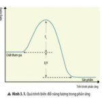 Biểu diễn sự thay đổi năng lượng trong quá trình phản ứng hóa học, thể hiện năng lượng hoạt hóa như đỉnh của rào cản năng lượng cần vượt qua.