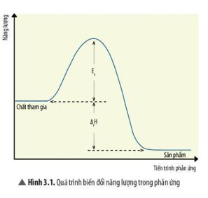 Biểu diễn sự thay đổi năng lượng trong quá trình phản ứng hóa học, thể hiện năng lượng hoạt hóa như đỉnh của rào cản năng lượng cần vượt qua.