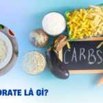 carbohydrate