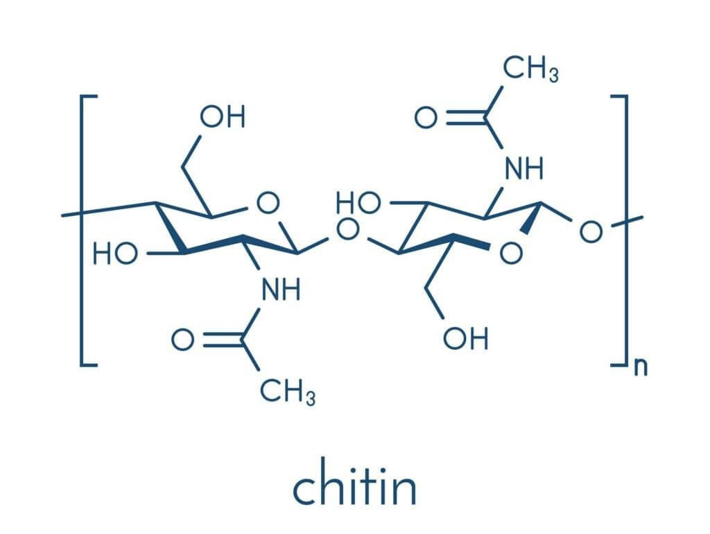 Cấu trúc phân tử của chitin, loại đường tạo nên vỏ tôm cua