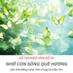 Con sông quê hương xanh biếc dưới ánh bình minh, hàng tre soi bóng xuống dòng nước trong veo.