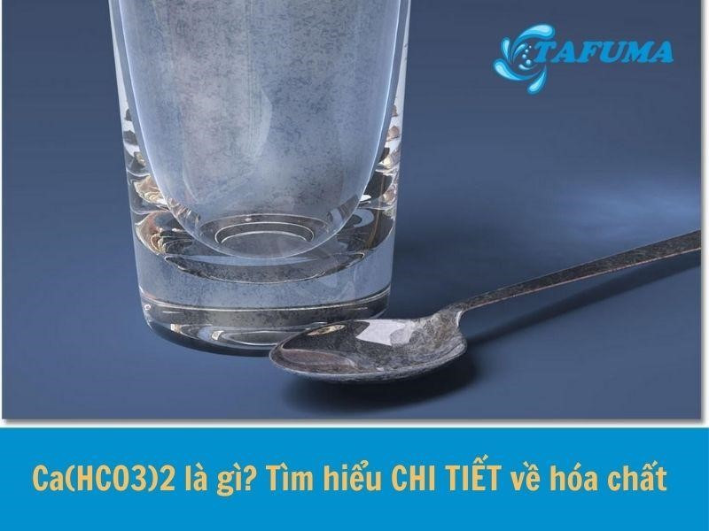 Công thức cấu tạo Canxi Bicarbonat Ca(HCO3)2