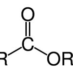 Công thức cấu tạo propyl fomat
