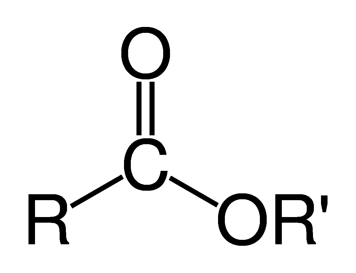 Công thức cấu tạo propyl fomat