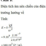 Điện tích điểm q tạo ra điện trường xung quanh nó, các đường sức điện hướng ra nếu q dương và hướng vào nếu q âm