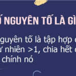 Định nghĩa số nguyên tố