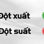 Đột xuất hay đột suất: Đâu là lựa chọn chính xác?