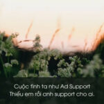 Florentino tung hoa, lời tỏ tình ngọt ngào
