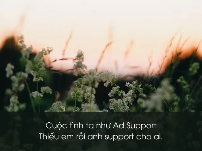Florentino tung hoa, lời tỏ tình ngọt ngào