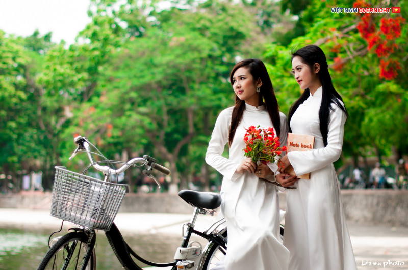 Giỏ xe chở đầy hoa phượng, biểu tượng tình đầu và mùa hè chia ly