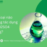 H2SO4 loãng không tác dụng với kim loại nào?