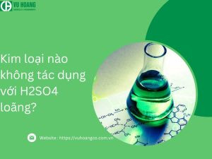 H2SO4 loãng không tác dụng với kim loại nào?