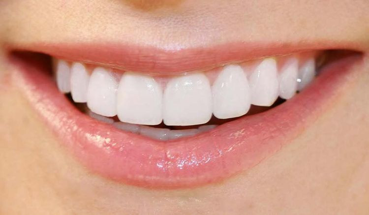 Hàm răng người trưởng thành với đầy đủ các răng, chú thích rõ ràng từng loại răng và cách chia cung hàm.