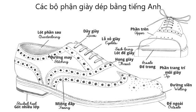 Hình ảnh minh họa các loại giày dép khác nhau, từ giày thể thao đến giày cao gót, giúp bạn hình dung rõ hơn về các loại giày dép này.
