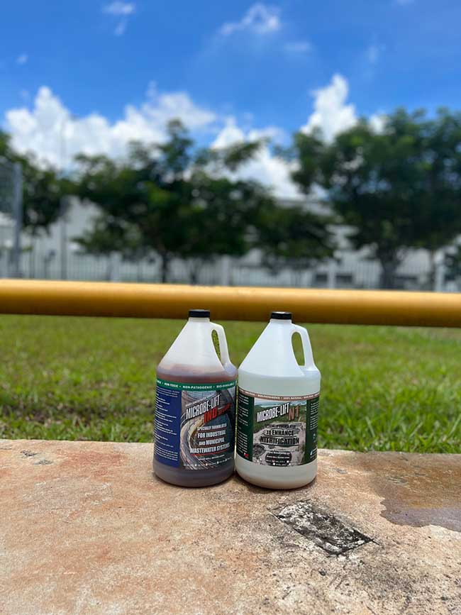 Hình ảnh minh họa các sản phẩm vi sinh đặc biệt, được thiết kế để tối ưu hóa quá trình xử lý nitơ, bao gồm cả quá trình nitrat hóa và khử nitrat trong hệ thống xử lý nước thải