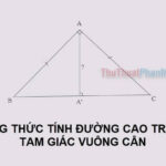 Hình ảnh minh họa tam giác vuông cân với đường cao kẻ từ đỉnh góc vuông xuống cạnh huyền