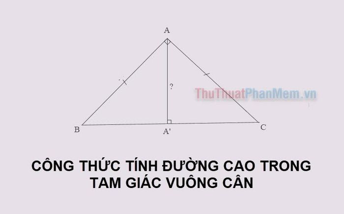 Hình ảnh minh họa tam giác vuông cân với đường cao kẻ từ đỉnh góc vuông xuống cạnh huyền