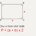 Hình ảnh minh họa về chiều dài và chiều rộng hình chữ nhật