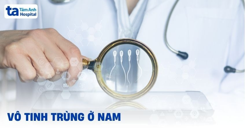 Hình ảnh minh họa vô tinh ở nam giới, tập trung vào ống sinh tinh và quá trình sản xuất tinh trùng