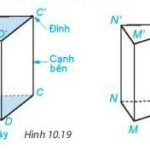 Hình lăng trụ đứng tam giác và hình lăng trụ đứng tứ giác