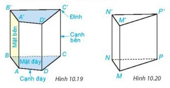 Hình lăng trụ đứng tam giác và hình lăng trụ đứng tứ giác