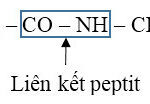 Liên kết peptit giữa hai amino axit, thể hiện nhóm amino của amino axit đầu N