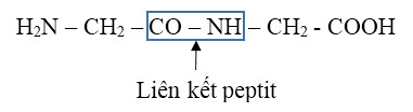 Liên kết peptit giữa hai amino axit, thể hiện nhóm amino của amino axit đầu N