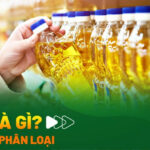 Lipid là gì và vai trò quan trọng đối với sức khỏe