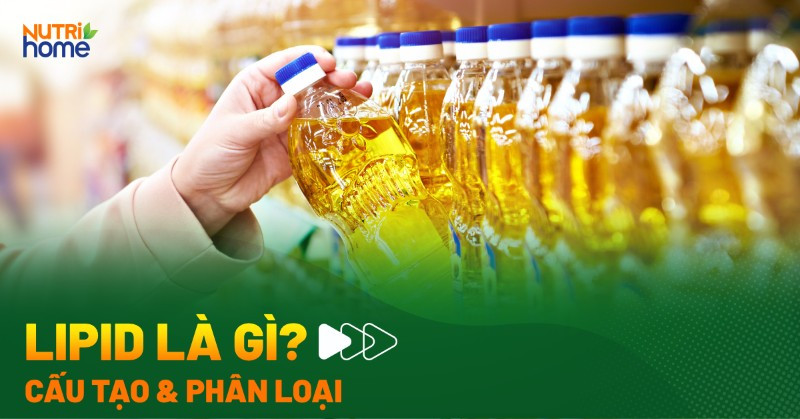Lipid là gì và vai trò quan trọng đối với sức khỏe