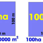 Minh họa quy đổi 1 km2 bằng 100 ha, đơn vị đo diện tích phổ biến trong thực tế.