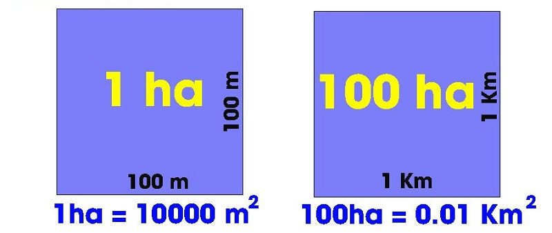 Minh họa quy đổi 1 km2 bằng 100 ha, đơn vị đo diện tích phổ biến trong thực tế.