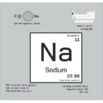 Mô hình cấu hình electron của Natri với một electron lớp ngoài cùng