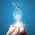 Mô hình DNA xoắn kép minh họa cấu trúc gen di truyền