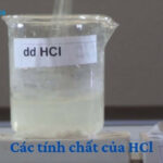 Mô hình phân tử Axit Clohidric (HCl) thể hiện liên kết giữa Hydro và Clo.