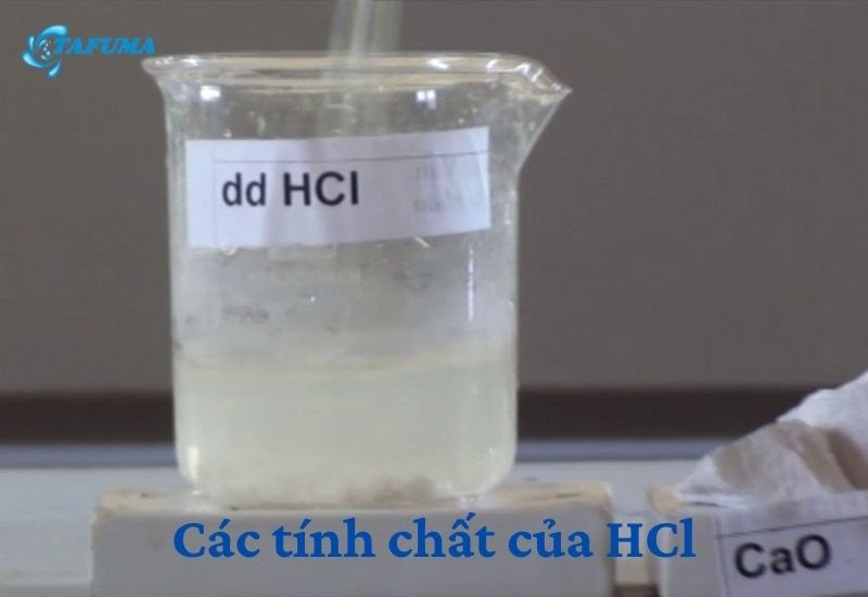 Mô hình phân tử Axit Clohidric (HCl) thể hiện liên kết giữa Hydro và Clo.