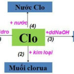 Mô hình phân tử clo (Cl2) với hai nguyên tử clo liên kết với nhau.