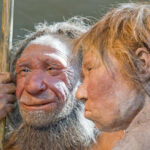Mô hình phục dựng người Neanderthal, một nhánh đã tuyệt chủng trong dòng dõi tông Người.