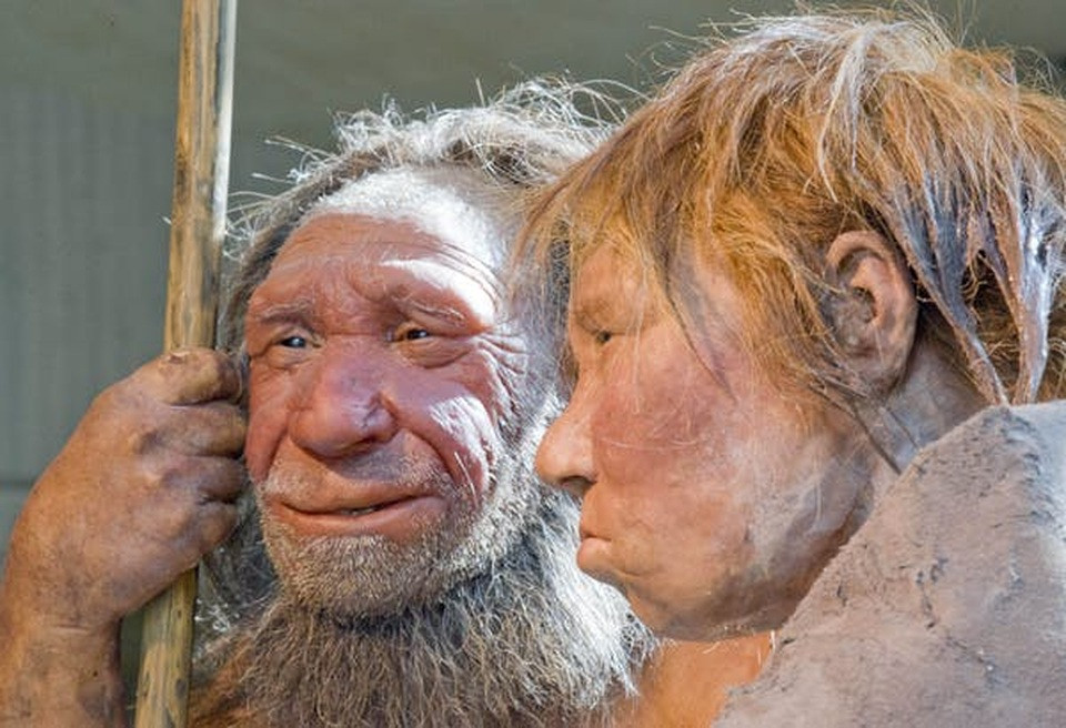 Mô hình phục dựng người Neanderthal, một nhánh đã tuyệt chủng trong dòng dõi tông Người.