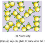 Mô tả sự sắp xếp các phân tử nước ở trạng thái rắn, lỏng và khí, thể hiện sự gia tăng mức độ hỗn loạn từ trái sang phải