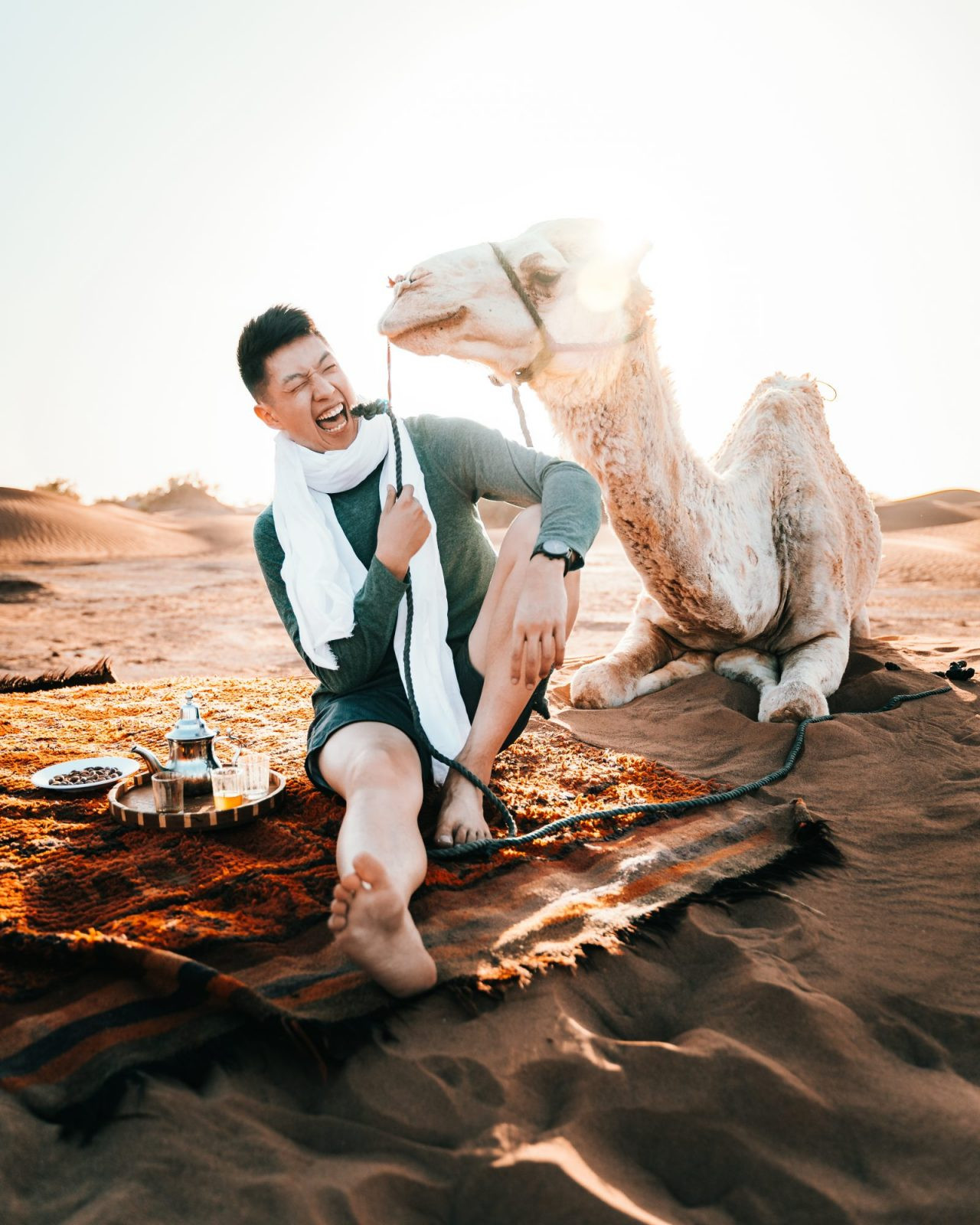 Người du mục và lạc đà trên sa mạc Sahara, Morocco