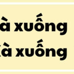 Phân biệt chính tả sà xuống và xà xuống, lỗi sai thường gặp