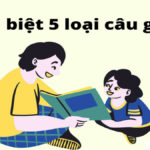 Phân loại câu ghép trong tiếng Việt, bao gồm chính phụ, đẳng lập, hỗn hợp, hô ứng và chuỗi