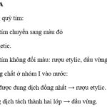 Phản ứng của axit axetic với kim loại Magie tạo khí Hydro.